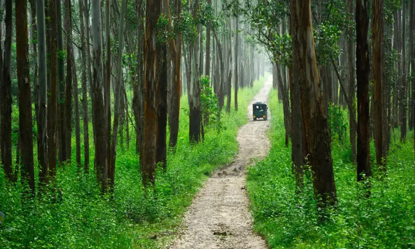 latest malayalam news latest malayalam news