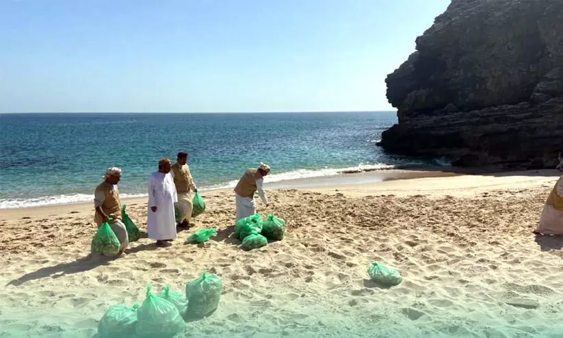 ചെ​റു​മീ​നു​ക​ൾ ച​ത്ത​ടി​ഞ്ഞു; റാ​സ​ൽ ഹ​ദ്ദ് ബീ​ച്ച്​ ശു​ചീ​ക​രി​ച്ചു