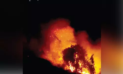 മി​നി ഊ​ട്ടി​യി​ൽ തീ​പി​ടി​ത്തം