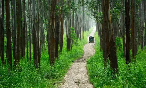 latest malayalam news