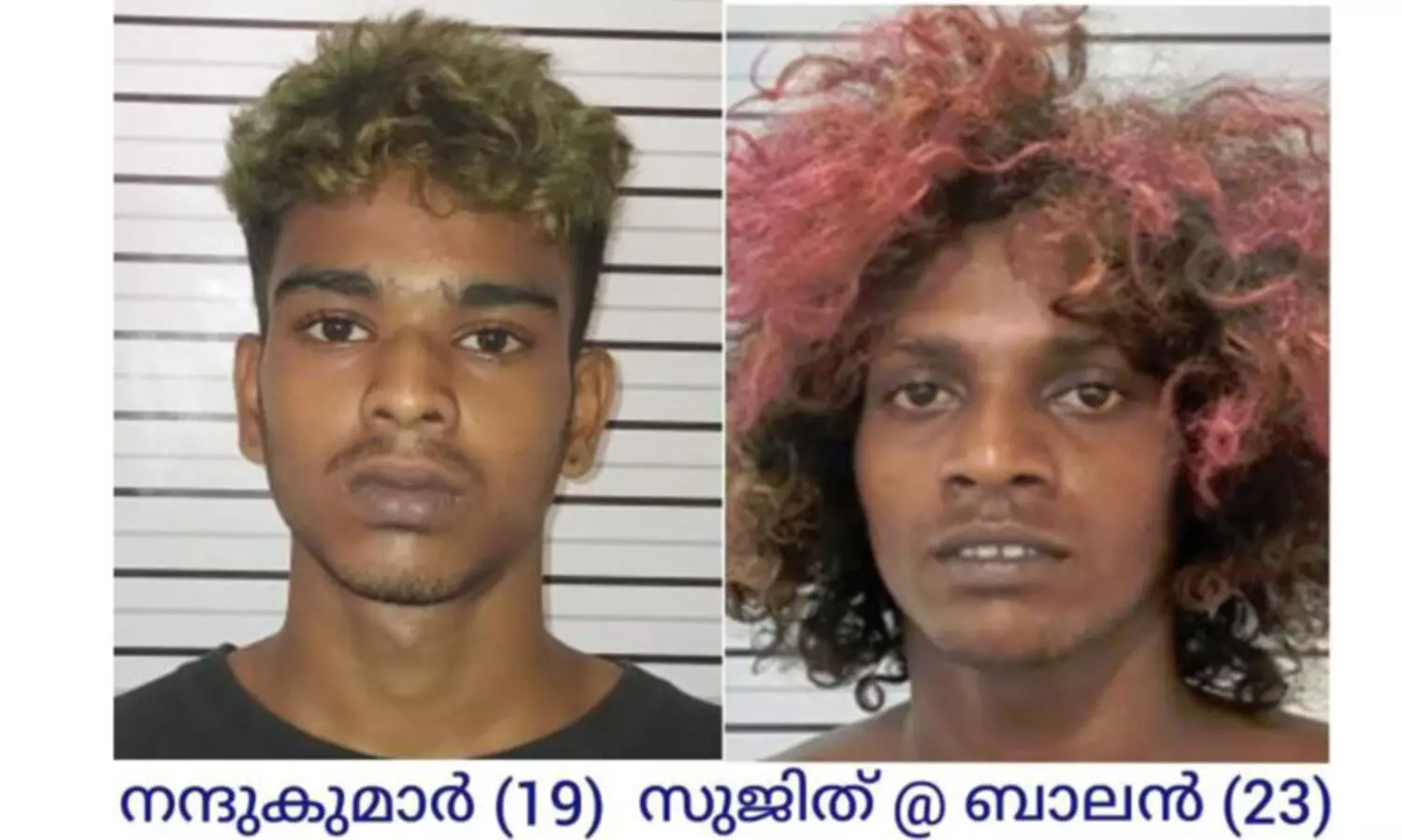 മോഷണക്കേസിലെ പ്രിതികൾ പിടിയിൽ