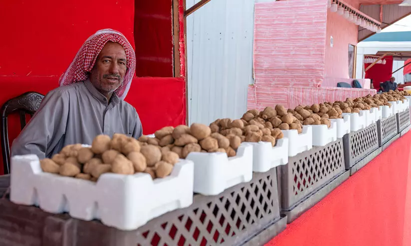 ലഭ്യത വർധിച്ചു; ട്രഫിൾ വില കുറഞ്ഞു ലഭ്യത വർധിച്ചു; ട്രഫിൾ വില കുറഞ്ഞു