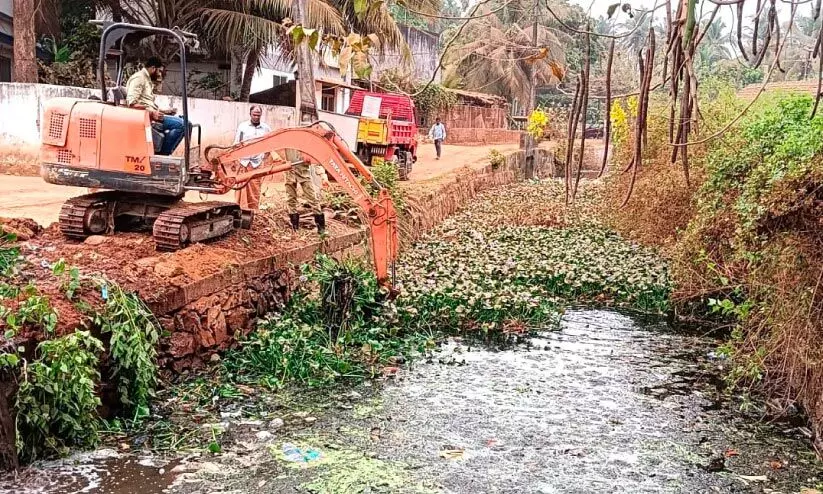 പ​ട​ന്ന​ത്തോ​ട് ശു​ചീ​ക​രി​ക്കു​ന്നു
