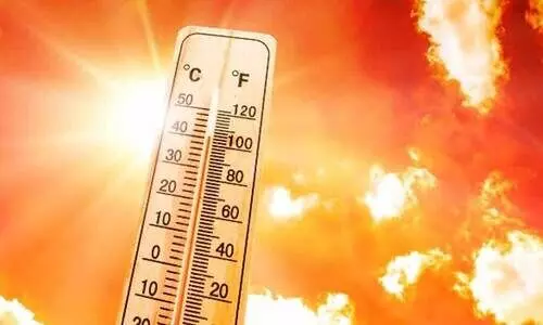 കൊടും ചൂട്: വില്ലൻ ഈർപ്പം തന്നെ കൊടും ചൂട്: വില്ലൻ ഈർപ്പം തന്നെ