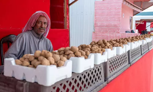 ലഭ്യത വർധിച്ചു; ട്രഫിൾ വില കുറഞ്ഞു ലഭ്യത വർധിച്ചു; ട്രഫിൾ വില കുറഞ്ഞു