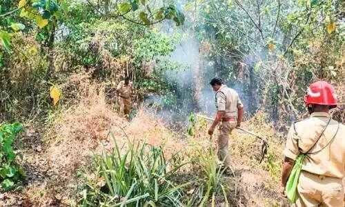 കന്നിമലയിൽ ക്വാറിക്ക്​ സമീപം തീപിടിത്തം