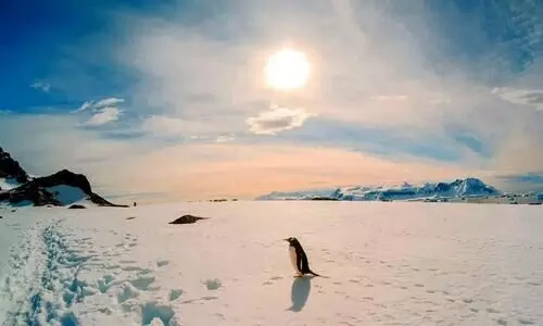 Antarctica