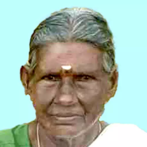 വാ​നി​ടി​ച്ച് കാ​ൽ​ന​ട​ക്കാ​രി മ​രി​ച്ചു