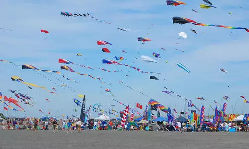 കൈറ്റ് ഫെസ്റ്റിവൽ; വരുന്നൂ.. ആകാശത്തിന് വർണോത്സവമാകുന്ന പട്ടം പറത്തൽ കൈറ്റ് ഫെസ്റ്റിവൽ; വരുന്നൂ.. ആകാശത്തിന് വർണോത്സവമാകുന്ന പട്ടം പറത്തൽ