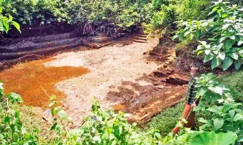 കുളങ്ങൾ ഏഴ്; സംരക്ഷിക്കാനാരുമില്ല