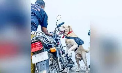 ബോംബ് ഭീഷണി: പാലായിൽ ജനകീയ പ്രതിരോധ ജാഥ നടന്നത് കനത്ത സുരക്ഷയിൽ