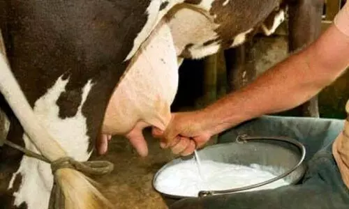 സബ്സിഡി നൽകുന്നില്ല; ക്ഷീരകർഷകർ പ്രക്ഷോഭത്തിന്