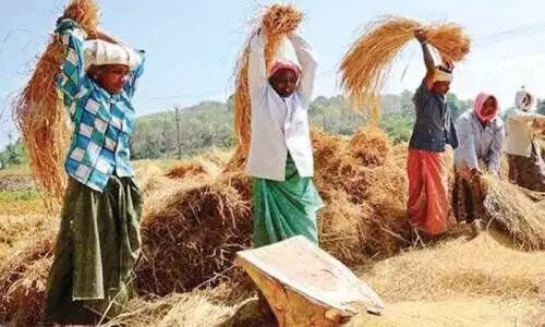 നെല്ല് സംഭരണ നി‍യന്ത്രണം: കർഷകർ വെട്ടിൽ