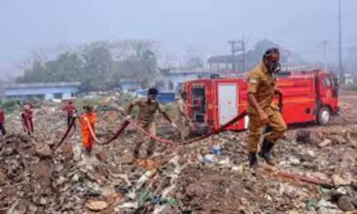 വിഷപ്പുക സഹിക്കാനാവാതെ കൊച്ചിയിൽനിന്ന് പലായനം