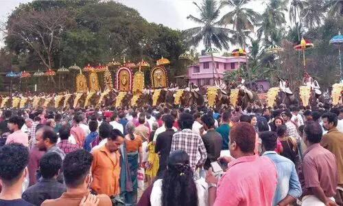 വർണവിസ്മയം തീർത്ത് തൃപ്പുറ്റ താലപ്പൊലി