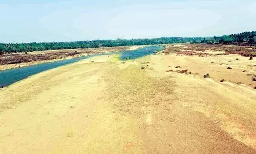 വേനൽ കനത്തു; മരുപ്പറമ്പായി നിള