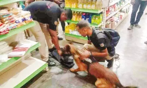 സപ്ലൈകോ സൂപ്പർ മാർക്കറ്റിൽ വൻ മോഷണം;  മൂന്നേകാൽ ലക്ഷം രൂപ കവർന്നു