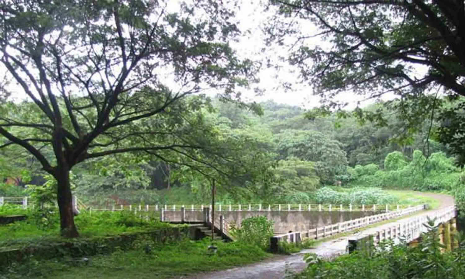 വന്യജീവി സങ്കേതത്തിനോട് ചേർന്ന് സ്വകാര്യ തോട്ടങ്ങൾക്ക് വനഭൂമി പാട്ടത്തിന് നൽകിയിട്ടുണ്ടെന്ന് എ.കെ ശശീന്ദ്രൻ