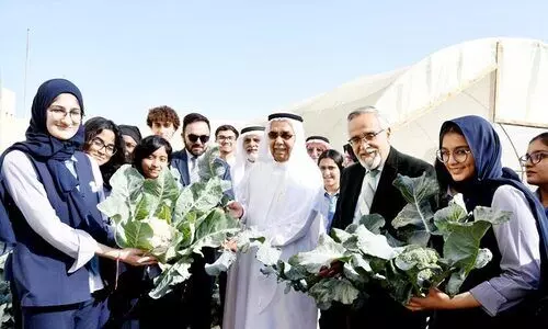 പച്ചക്കറി വിളവെടുപ്പ് നടത്തി പച്ചക്കറി വിളവെടുപ്പ് നടത്തി