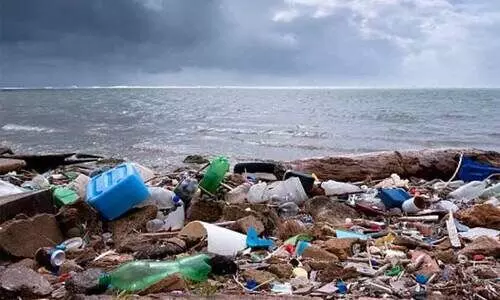 കുരീപ്പുഴയിൽനിന്ന് നീക്കിയത് 1,04,906 ക്യുബിക് മീറ്റർ ഖരമാലിന്യം കുരീപ്പുഴയിൽനിന്ന് നീക്കിയത് 1,04,906 ക്യുബിക് മീറ്റർ ഖരമാലിന്യം