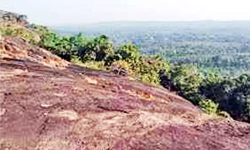 പോ​യാ​ലി മ​ല