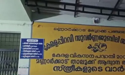 ആദിവാസി യുവതി അട്ടപ്പാടി ചുരത്തിൽ പ്രസവിച്ചു