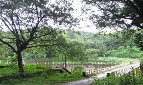 വന്യജീവി സങ്കേതത്തിനോട് ചേർന്ന് സ്വകാര്യ തോട്ടങ്ങൾക്ക് വനഭൂമി പാട്ടത്തിന് നൽകിയിട്ടുണ്ടെന്ന് എ.കെ ശശീന്ദ്രൻ
