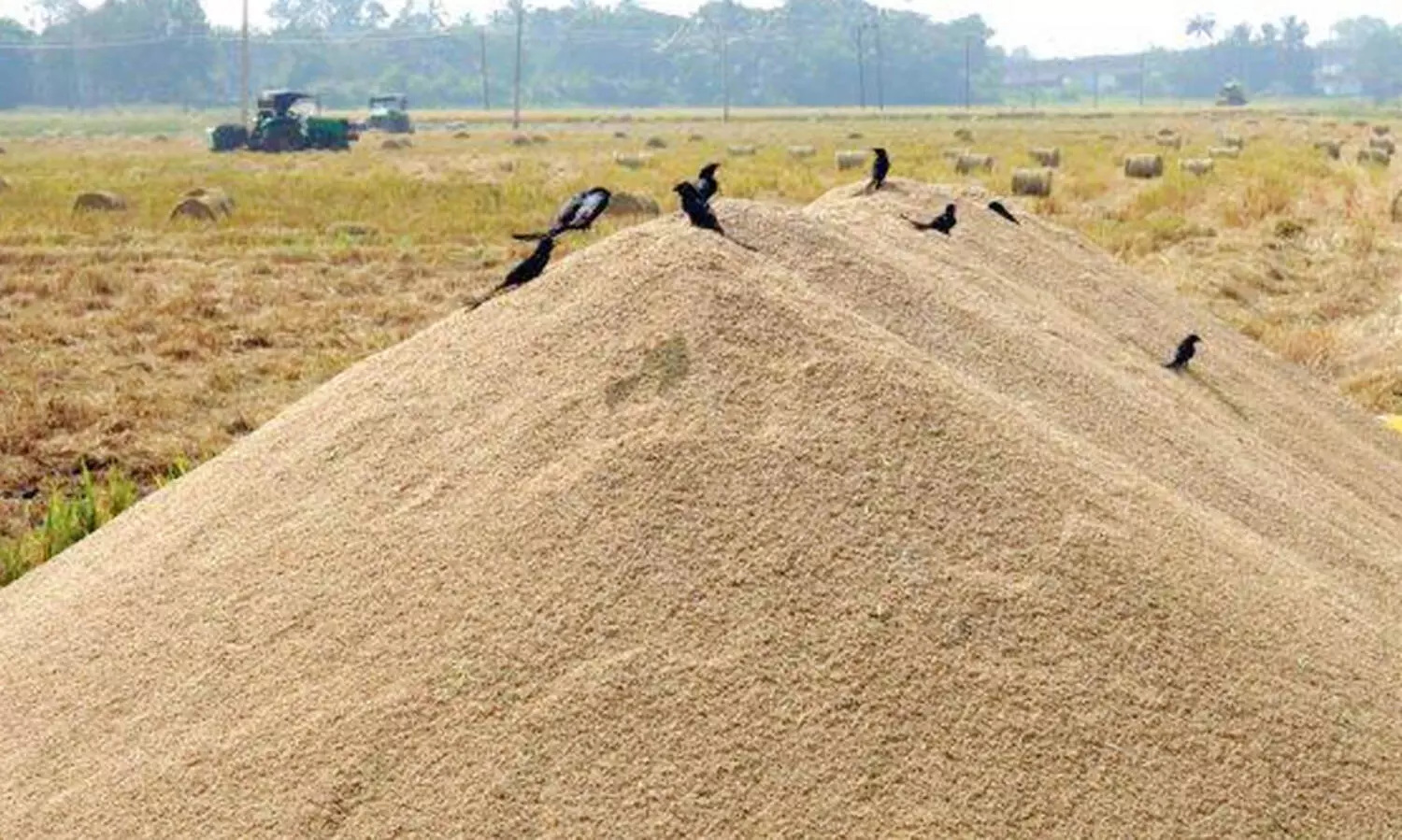 latest malayalam news