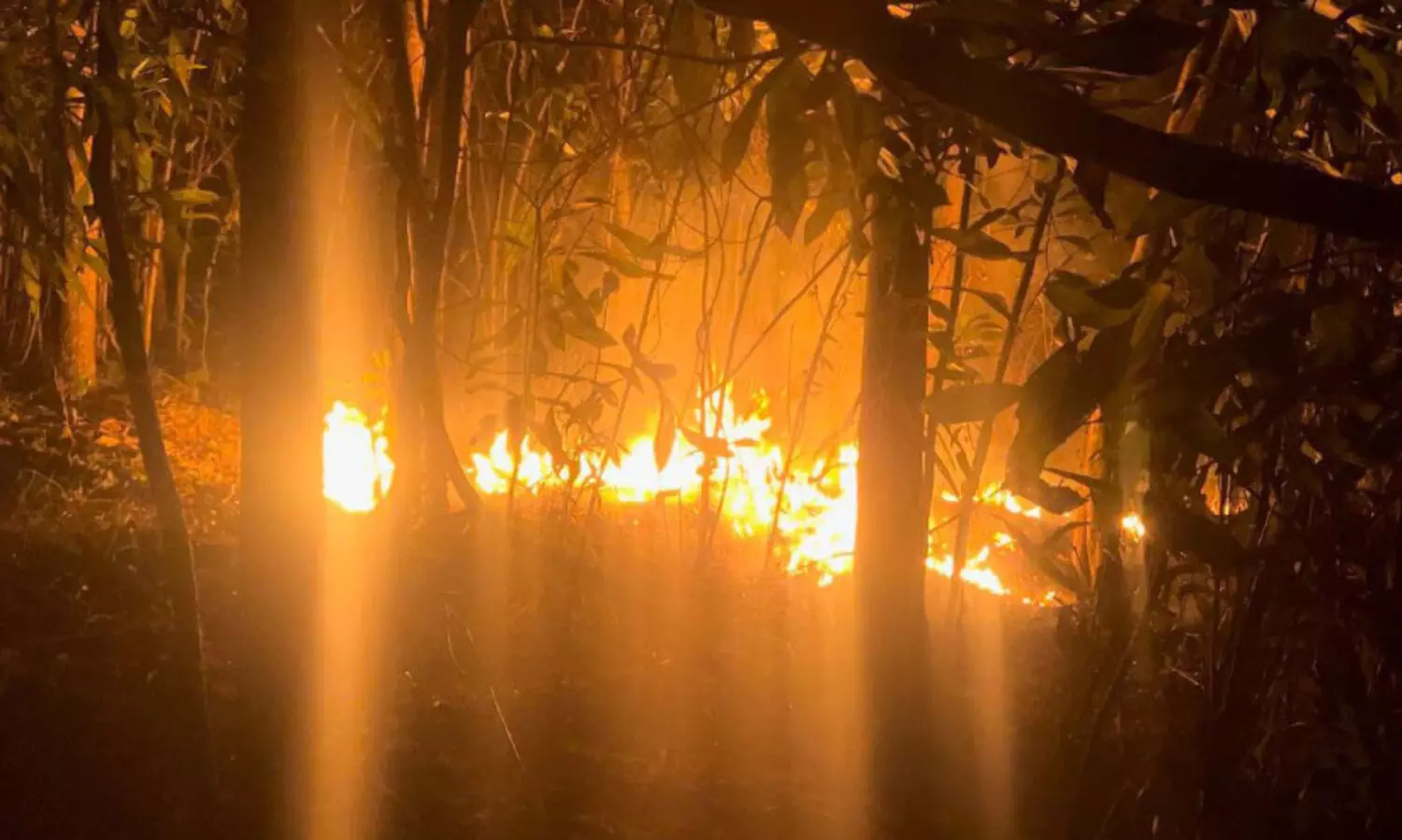 അർധരാത്രി കാട്ടുതീ പടര്‍ന്നത് പരിഭ്രാന്തി പടര്‍ത്തി