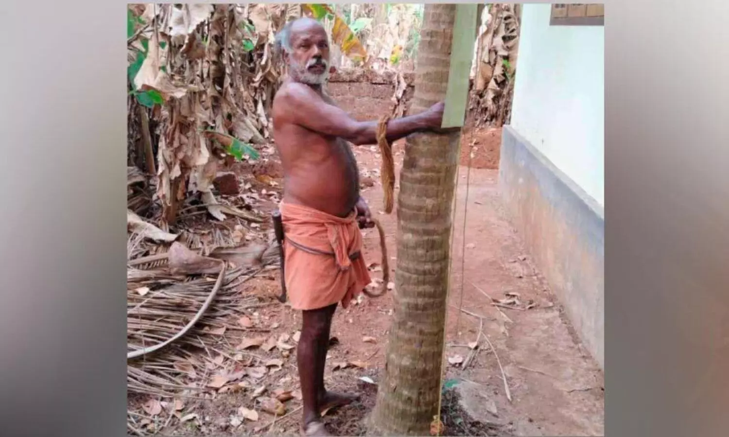 പിലിക്കോട്ട് തേങ്ങയിടാൻ മയ്യിച്ചയിൽനിന്ന് കണ്ണനെത്തണം