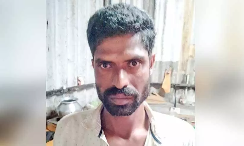 കഞ്ചാവുചെടി വളർത്തിയ അന്തർസംസ്ഥാന തൊഴിലാളി പിടിയിൽ കഞ്ചാവുചെടി വളർത്തിയ അന്തർസംസ്ഥാന തൊഴിലാളി പിടിയിൽ