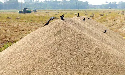 latest malayalam news