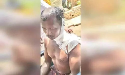 കരടിയുടെ ആക്രമണത്തിൽ യുവാവിന് പരിക്ക്