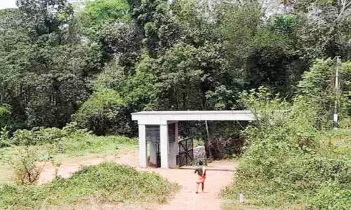 Kalikav Block, Industrial Park