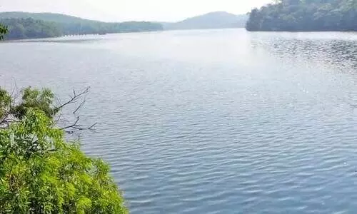 പഴശ്ശിയും വരളുന്നു; രണ്ടാഴ്ചക്കിടെ താഴ്ന്നത് ഒരു മീറ്ററിലധികം വെള്ളം