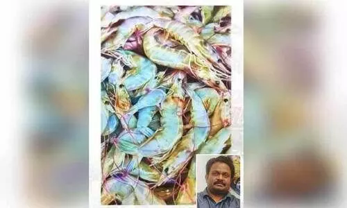 ഇന്റർനാഷനൽ വാട്ടർ കളർ ഫെസ്റ്റിവൽ: ഇന്ത്യക്ക് അഭിമാനമായി സുധീഷ്