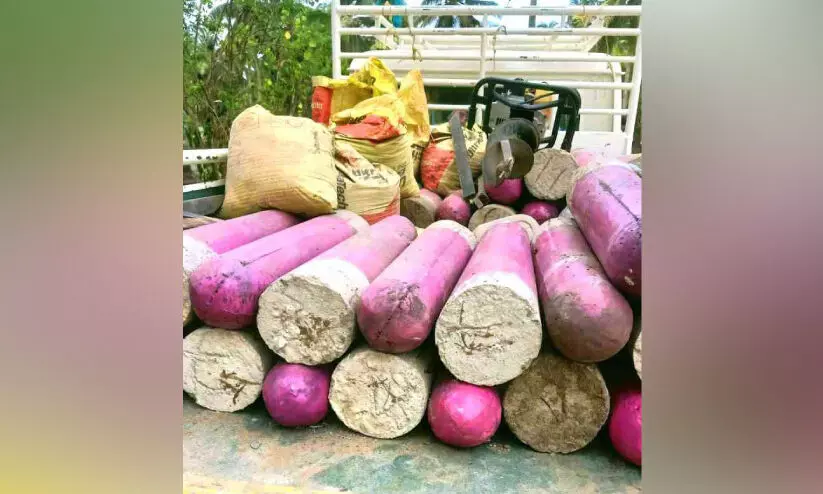 Coastal Highway, Stone laying