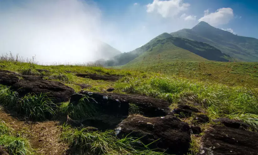 ചെമ്പ്രാ പീക്ക് ട്രക്കിങ് സമയത്തിൽ മാറ്റം ചെമ്പ്രാ പീക്ക് ട്രക്കിങ് സമയത്തിൽ മാറ്റം