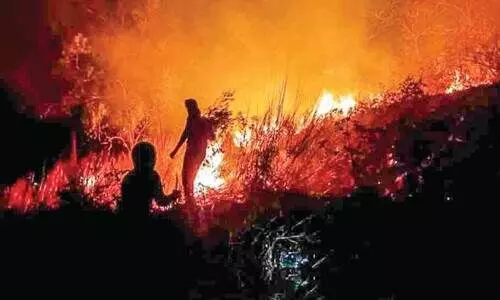 ചേ​രി​യം​മ​ല​യി​ൽ ഏ​ക്ക​ർ ക​ണ​ക്കി​ന് വ​ന​ഭൂ​മി ക​ത്തി​ന​ശി​ച്ചു