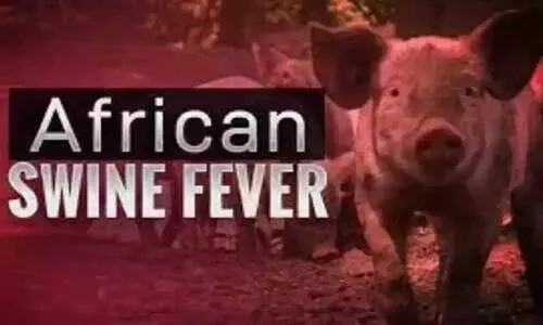 ഗുരുനാഥന്‍ മണ്ണില്‍ കണ്ടെത്തിയത് ആഫ്രിക്കന്‍ പന്നിപ്പനി