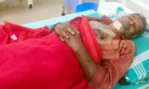 കാട്ടുപോത്തിന്‍റെ ആക്രമണത്തിൽ തൊഴിലാളിക്ക്​ പരിക്ക്