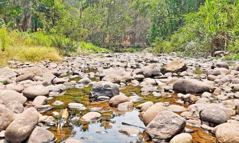 മലയോരത്ത് വരൾച്ച രൂക്ഷം; ചെറു പുഴകളും നീരുറവകളും വറ്റിവരണ്ടു