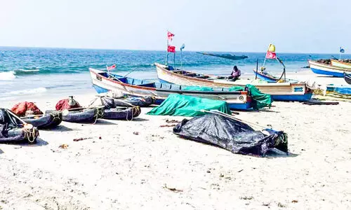 Scarcity of fish, Alappuzha