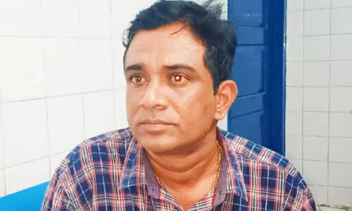 Bribery,  Health inspector