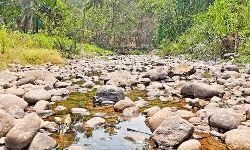 മലയോരത്ത് വരൾച്ച രൂക്ഷം; ചെറു പുഴകളും നീരുറവകളും വറ്റിവരണ്ടു