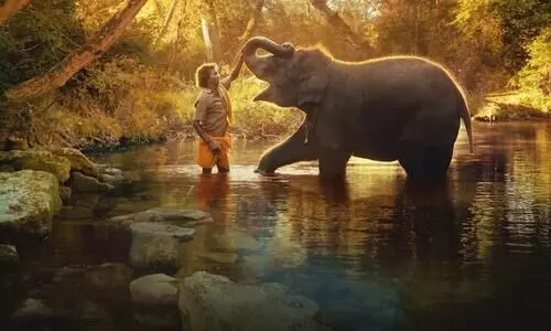 ആനകൾ മന്ത്രിക്കുന്നത് കേൾക്കുന്നുണ്ടോ? ആനകൾ മന്ത്രിക്കുന്നത് കേൾക്കുന്നുണ്ടോ?