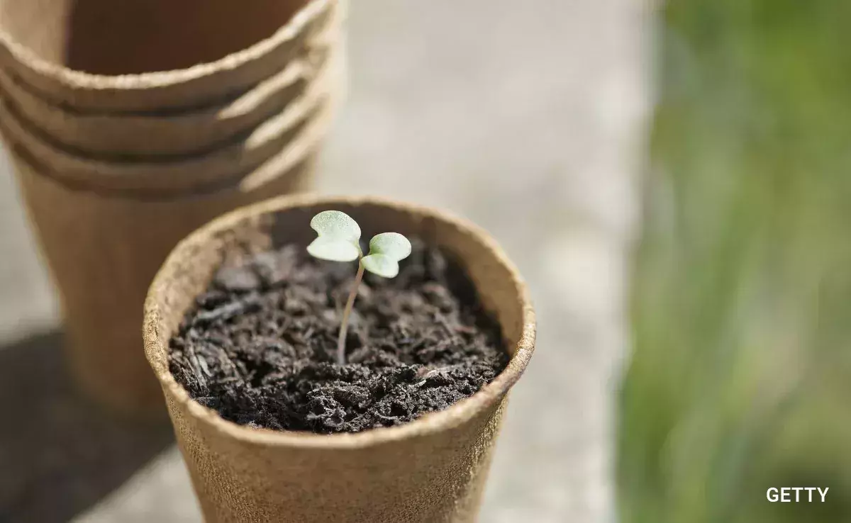 നാഗ്​പൂരിൽ ജി 20 മീറ്റിംഗ്​ ഡെക്കറേഷന്​ വെച്ച ചെടികൾ ബി.എം.ഡബ്ല്യു കാറിലെത്തി ചട്ടിയോടെ അടിച്ചുമാറ്റി