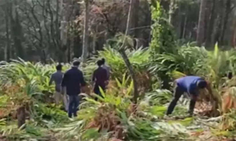 ചിന്നക്കനാല് ആദിവാസി പുനരധിവാസ മേഖലയിലെ കൈയേറ്റം ഒഴിപ്പിച്ച് റവന്യൂ വകുപ്പ് ചിന്നക്കനാല് ആദിവാസി പുനരധിവാസ മേഖലയിലെ കൈയേറ്റം ഒഴിപ്പിച്ച് റവന്യൂ വകുപ്പ്