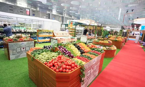 ഇവിടെയുണ്ടൊരു കൃഷിലോകം ഇവിടെയുണ്ടൊരു കൃഷിലോകം