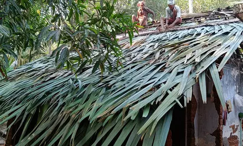 ‘ജനിച്ച് വളർന്ന വീട് പൊളിക്കില്ല’; ഏഴ് പതിറ്റാണ്ടായി ഓലപ്പുര കെട്ടിമേഞ്ഞ് ശേഖര കുറുപ്പും ലീലയും